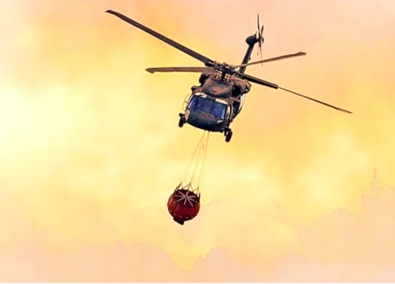 Hawk Fire