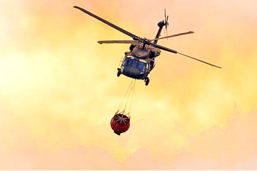 Hawk Fire