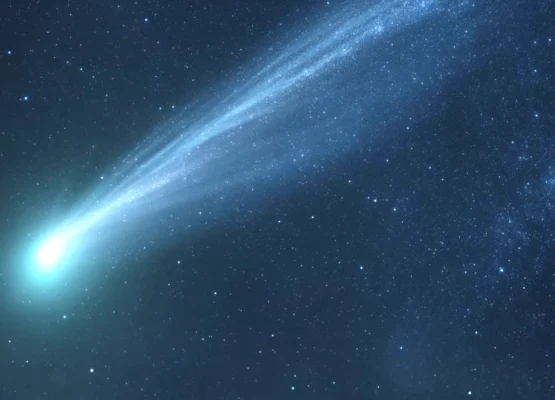 Interstellar Comet
