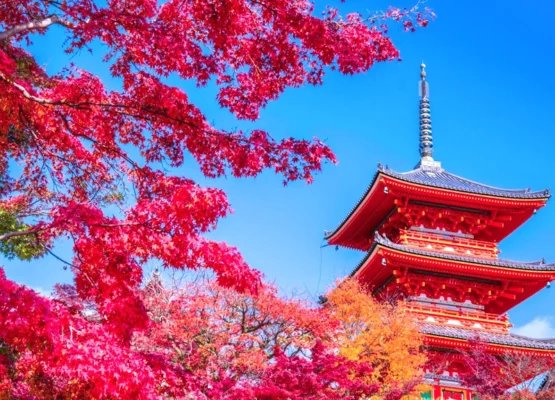 Japan Is the World’s No. 1 Travel