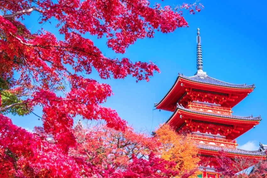 Japan Is the World’s No. 1 Travel