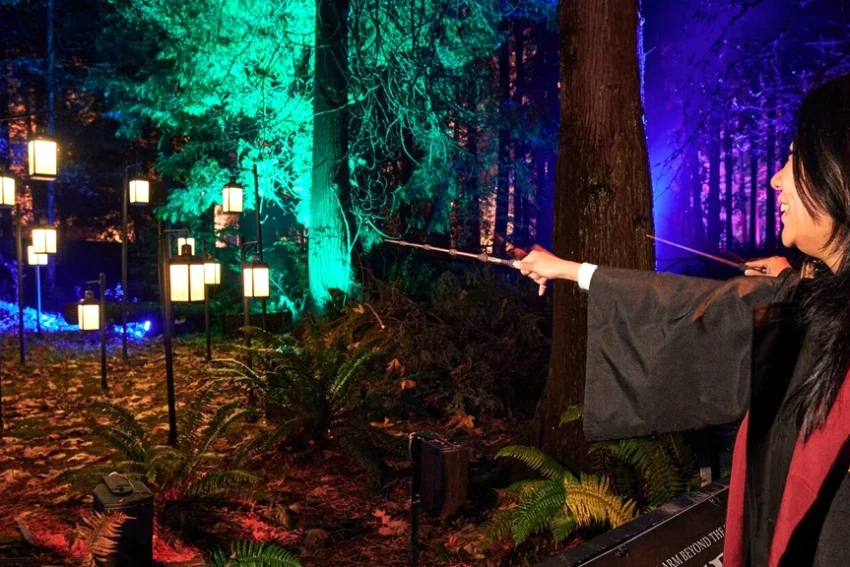 A Harry Potter-Inspired Forest
