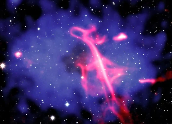 Cosmic "Treble Clef"