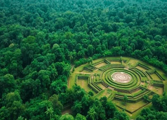 the Amazon