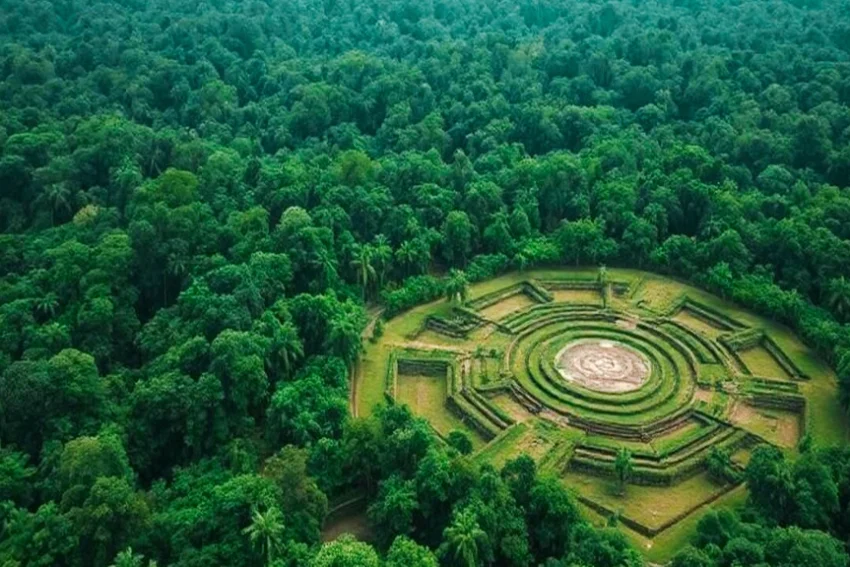 the Amazon