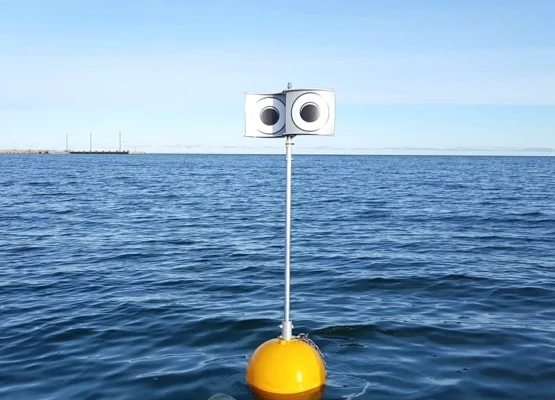 Googly-Eyed Buoys