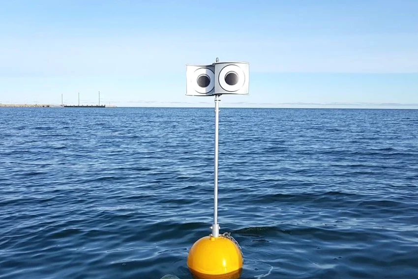 Googly-Eyed Buoys