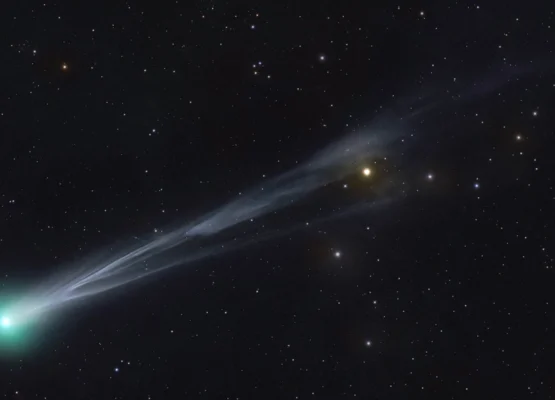 the Euclid Telescope's Images